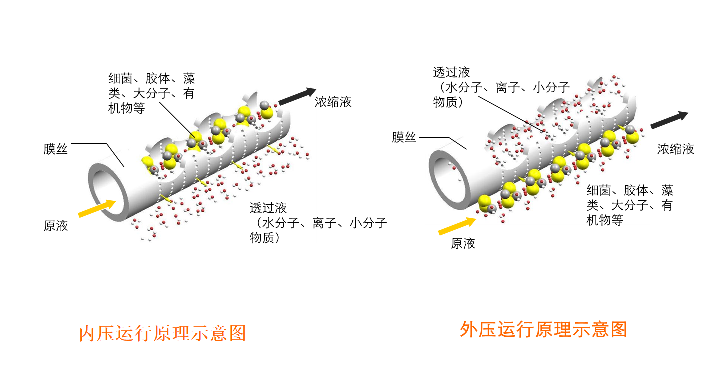 1768208570630100.png da5c52fa-1c82-488d-a6ba-0fac7b41dab9.png